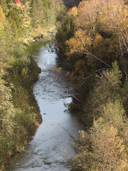 Photograph of a creek